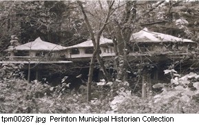 The "Mushroom House".